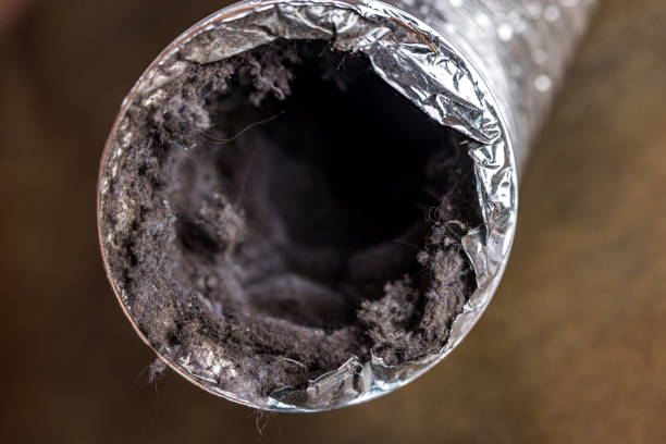 Best HVAC System Cleaning  in Quantico Base, VA